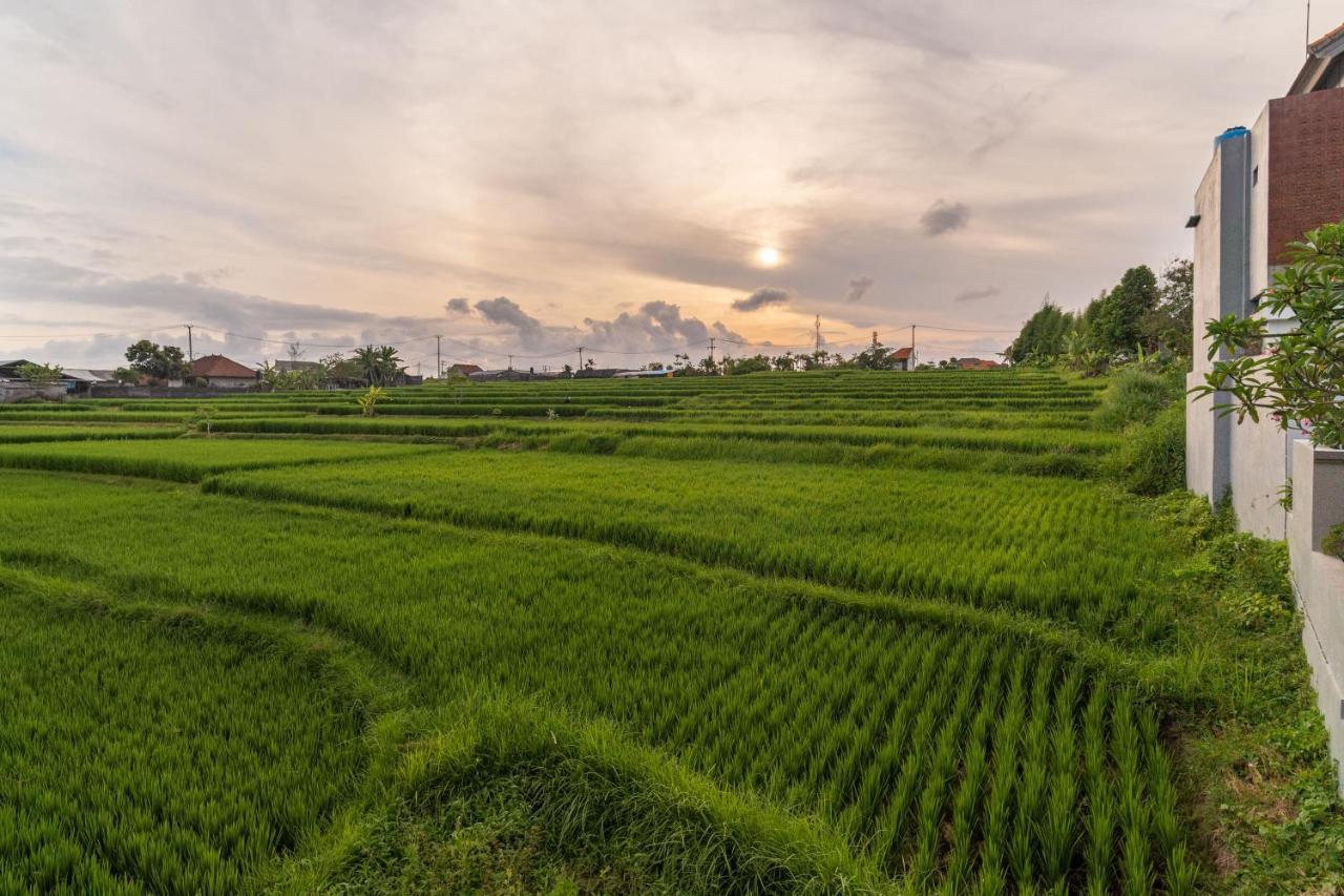 D'Macho Villas Ubud Luaran gambar