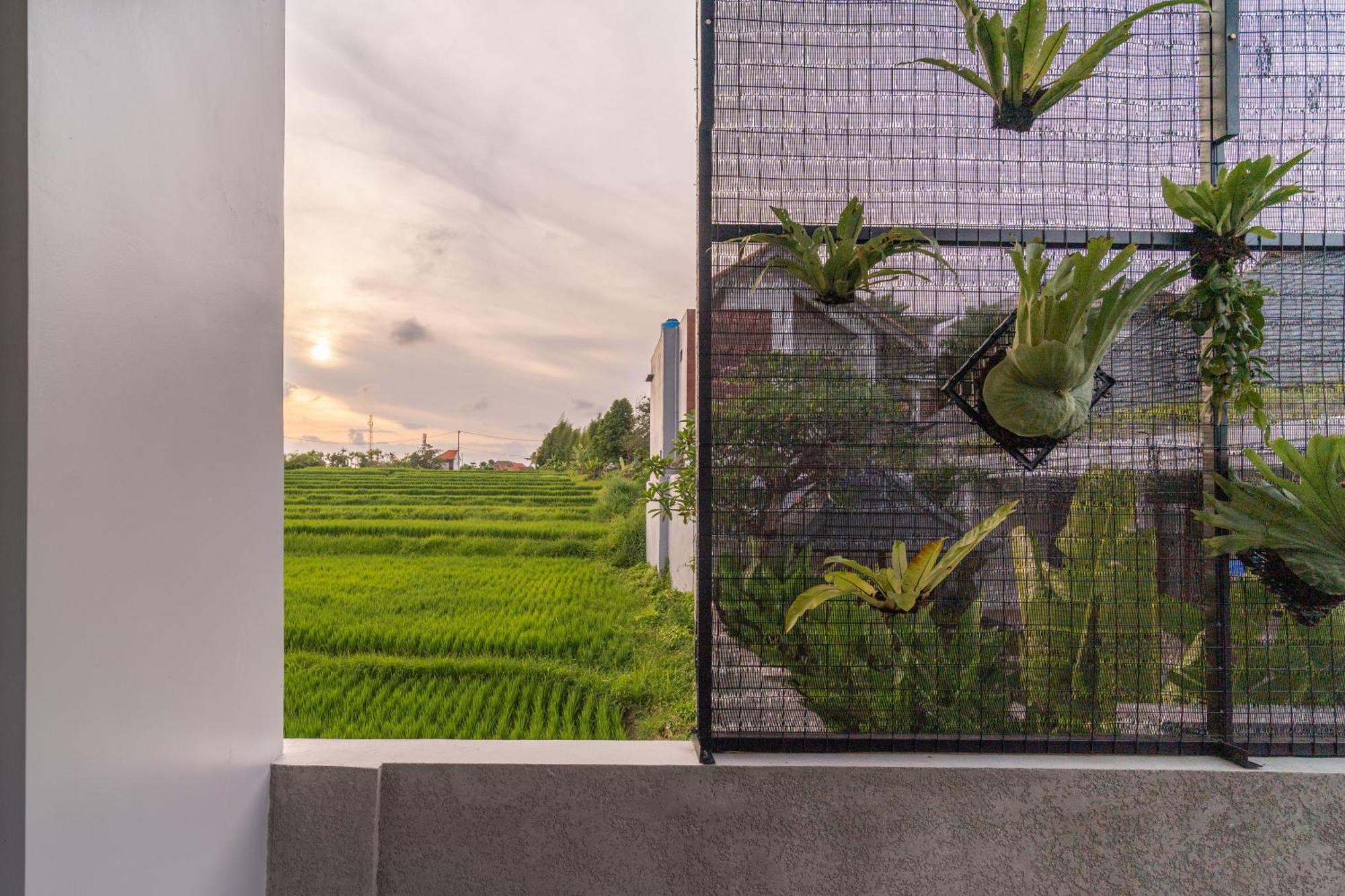 D'Macho Villas Ubud Luaran gambar
